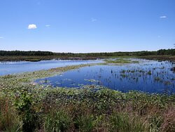 Brendan T. Byrne State Forest-New Lisbon必去景点