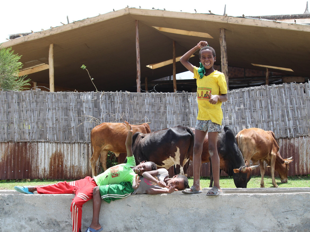 Hotel Lake Awassa