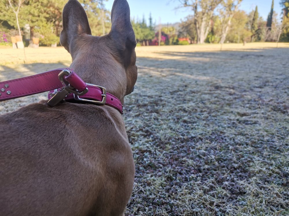 Hotel Boutique EL Campirano-官方