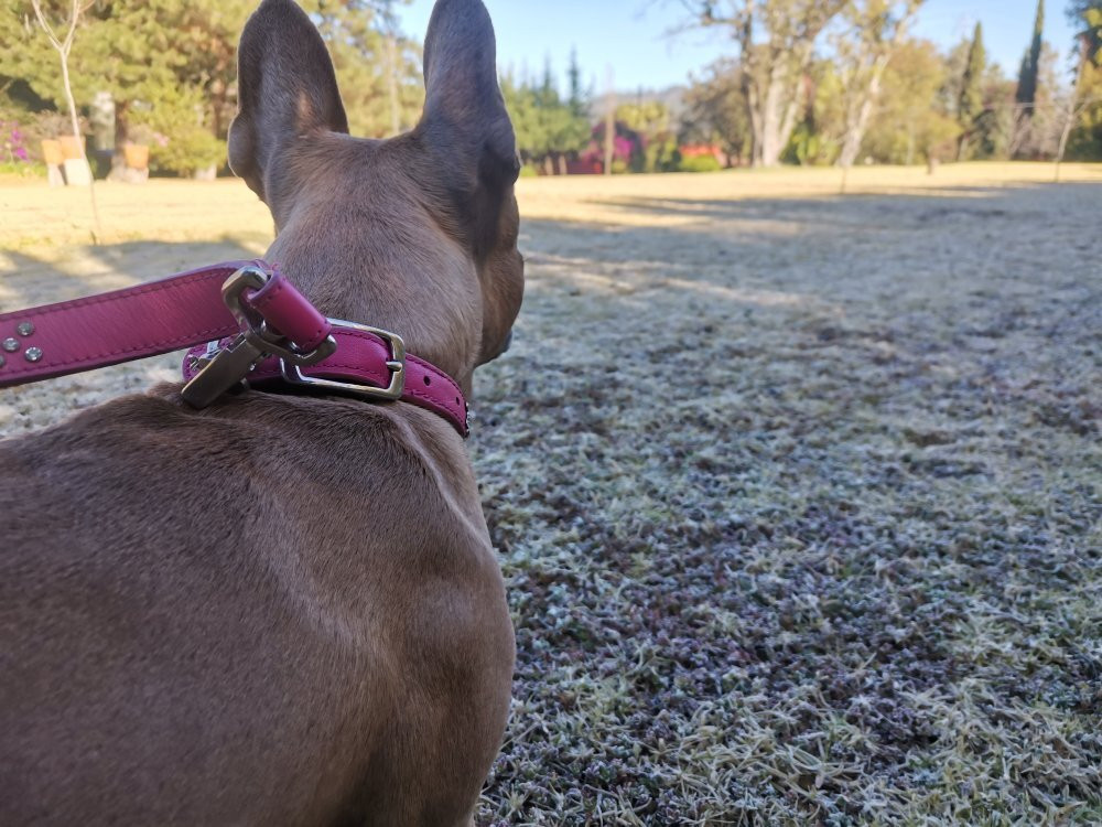 Villa Victoria酒店住宿-Hotel Boutique EL Campirano