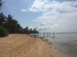 Narigama Beach-希克杜沃必去景点