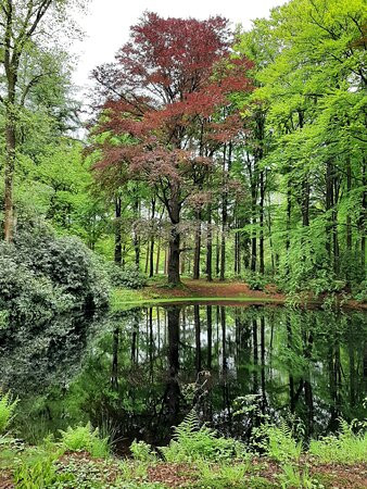 Landgoed "het Enzerinck"-Vorden必去景点