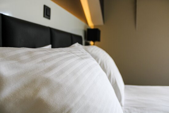 Hôtel L'amandier主图