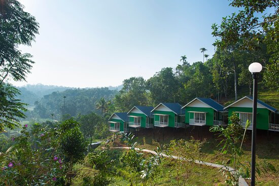 The Arbour Resort Munnar主图