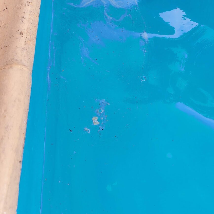 Domaine Les Rosiers-泳池