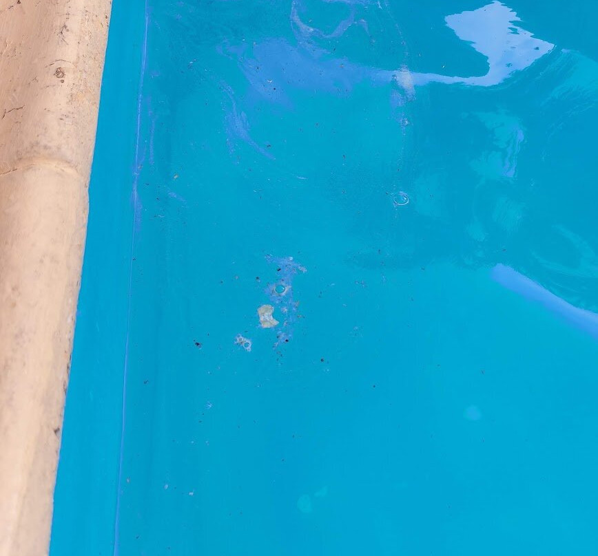 Domaine Les Rosiers主图