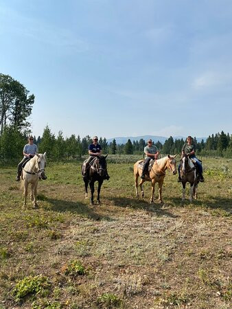 Yellowstone Horses - Eagle Ridge Ranch景点图片