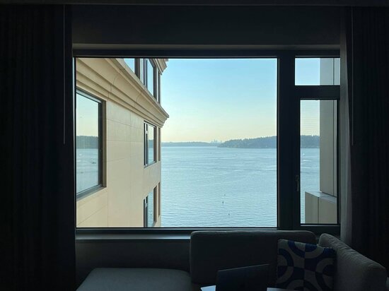 Hyatt Regency Lake Washington at Seattle's Southport-酒店景观