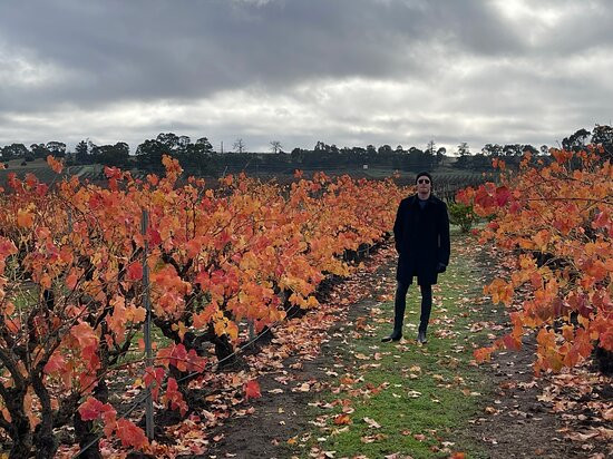 Le Mas Barossa Valley主图