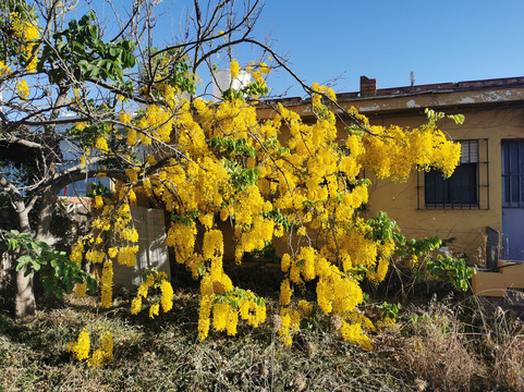 Gr 249 Senda Litoral-Rincon de la Victoria必去景点