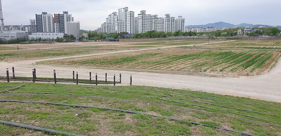 Nari Park-杨州市必去景点