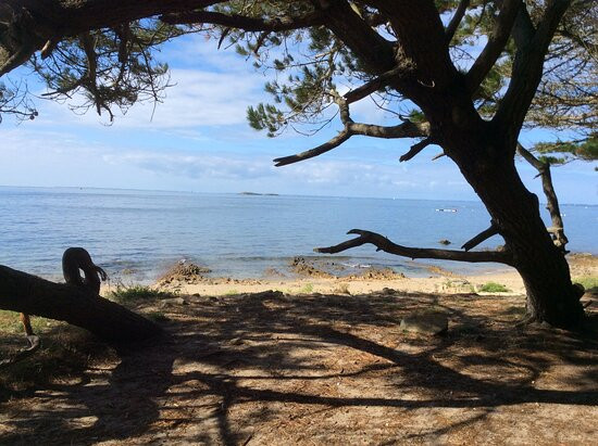 Parc Naturel Régional du Golfe du Morbihan-瓦讷必去景点