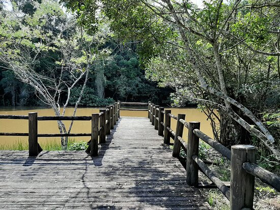 Parque Ecológico Represinha景点图片