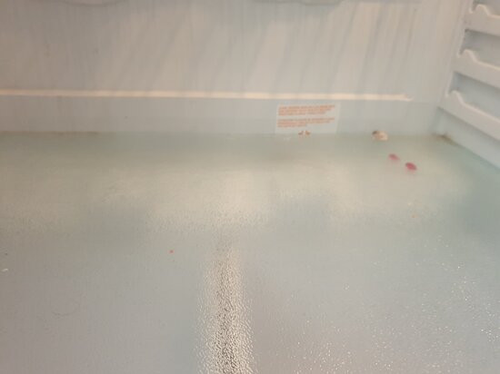 Moda Pansiyon - Apart主图