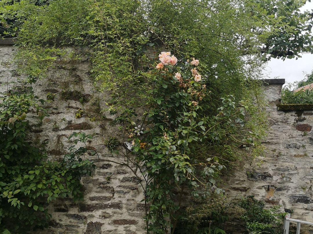 Chambre d'Hotes Firon