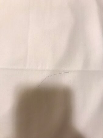 Hotel Estacao 101 - Brusque主图