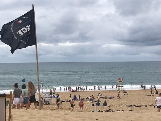 Darrigood Surf School / ESCF Hossegor-奥瑟格尔必去景点