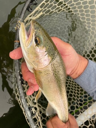 Streamside Outfitters-卡尔加里必去景点