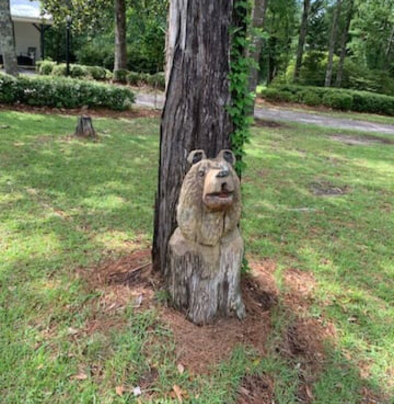 Graceville Inn & RV Park主图