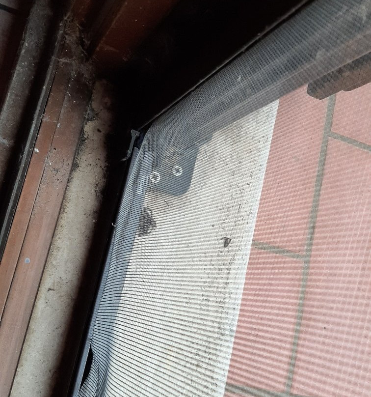 B&B La Casa Fra Gli Olivi主图