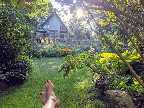 At Home In The Woods Bed And Breakfast主图