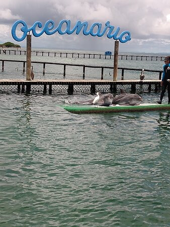 Albitours Cartagena-卡塔赫纳必去景点