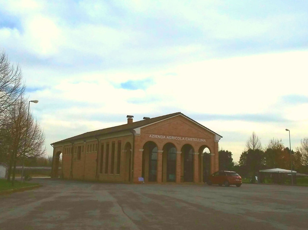 Azienda Agricola La Castellina景点图片