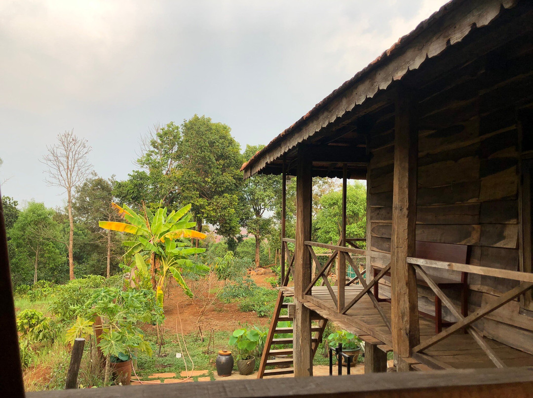 Plei Homestay & Cafe