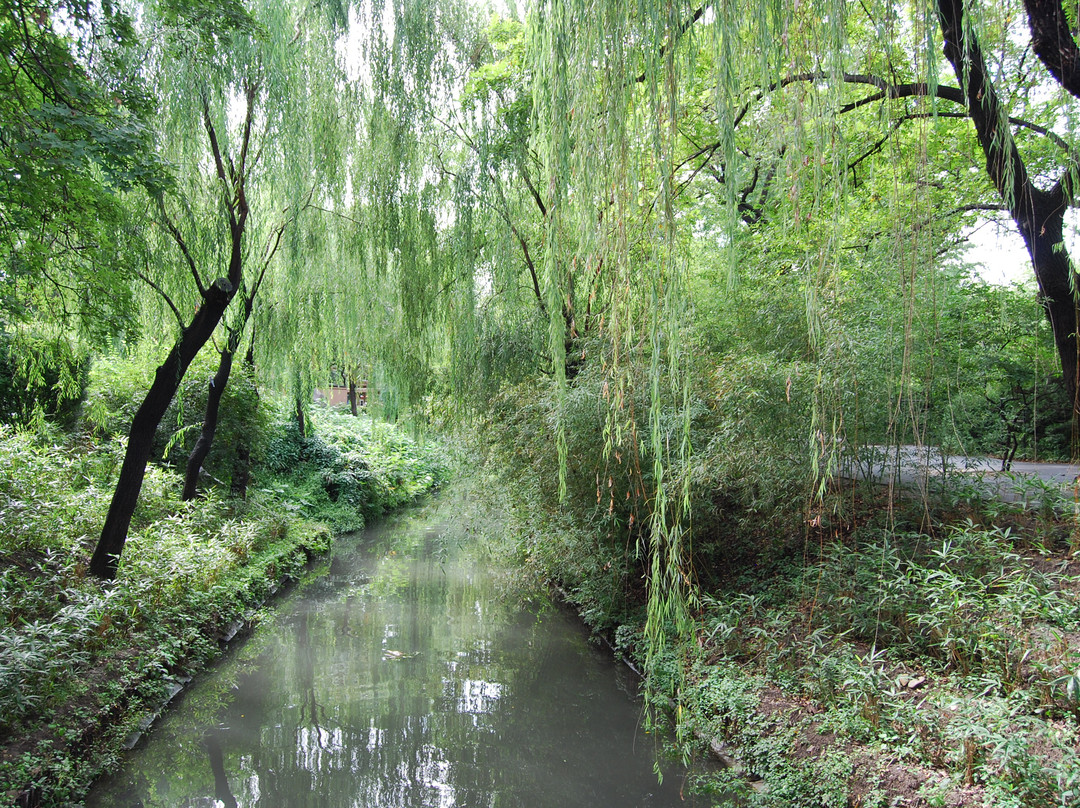 紫竹院公园-北京市必去景点