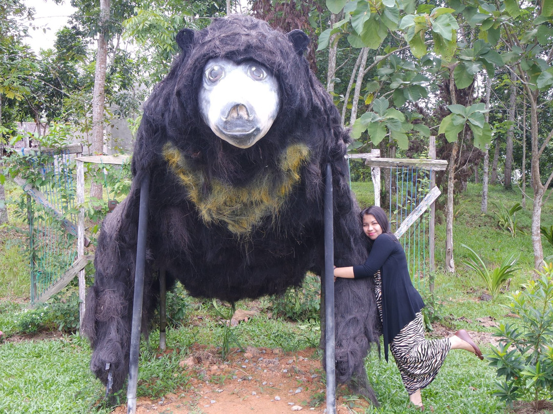 Kalimantan旅游景点-Sun Bear Education and Conservation Center
