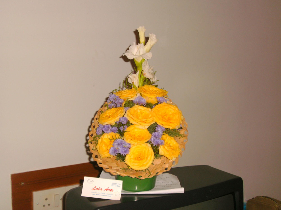 Lala Arts-坎多林必去景点