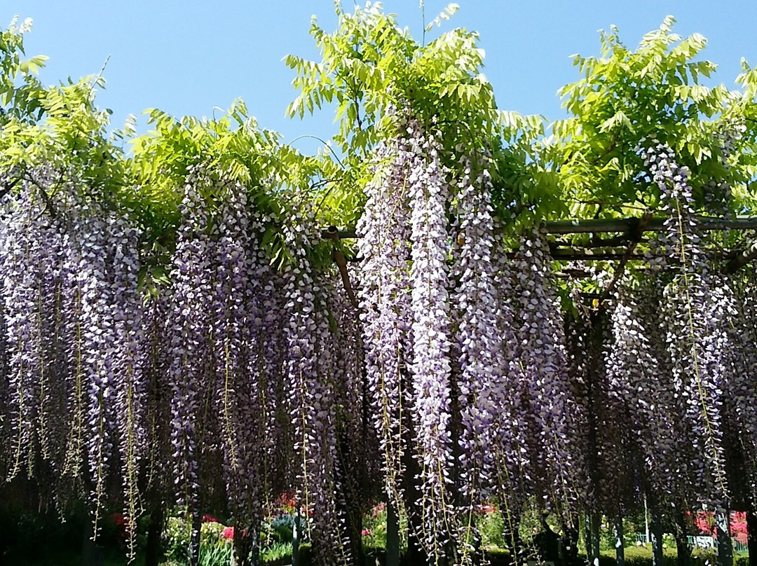 东松山市旅游攻略图片