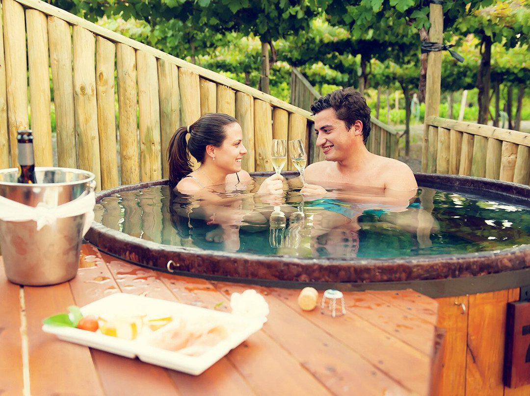 Hotel Cava Colchagua主图