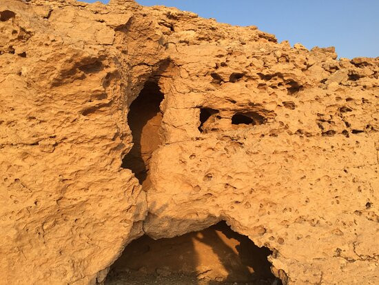 The Horizons Tours-利雅德必去景点