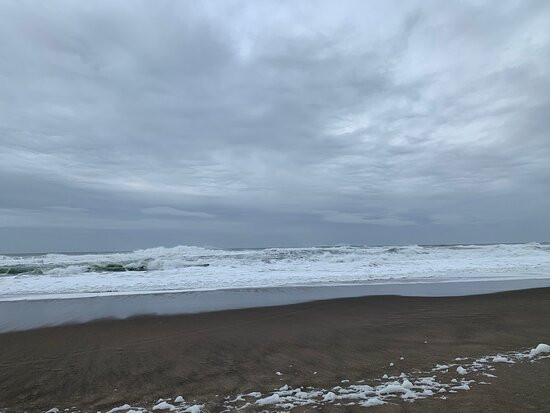 Gleneden Beach State Park-Gleneden Beach必去景点