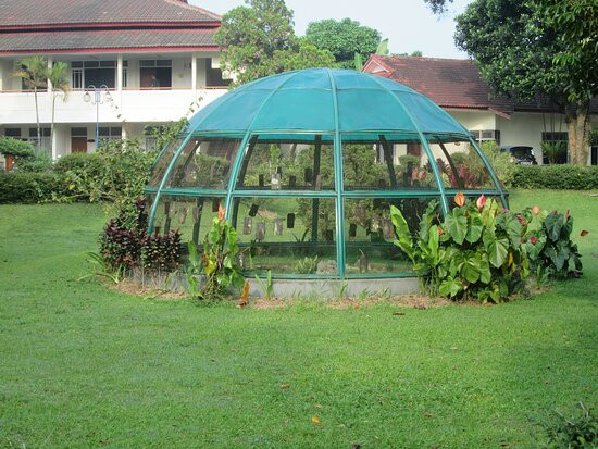 Puncak Raya Hotel主图