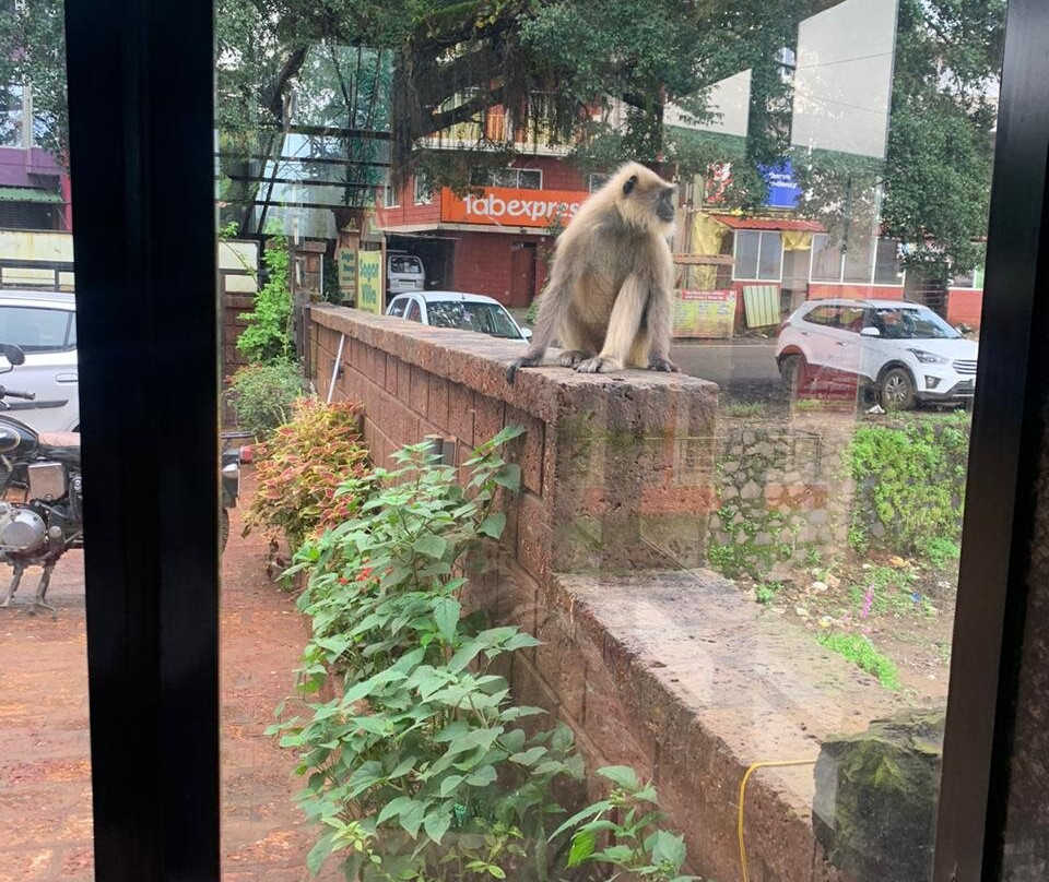 Hotel Shiva's Valley主图