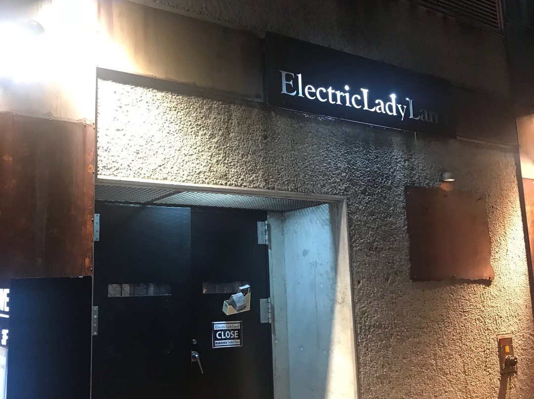 Electric Lady Land