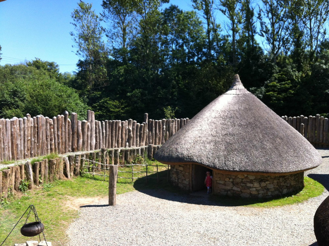 Irish National Heritage Park景点图片