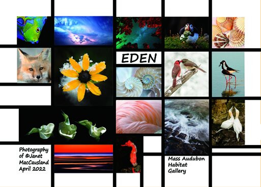 Mass Audubon Habitat Education Center & Wildlife Sanctuary