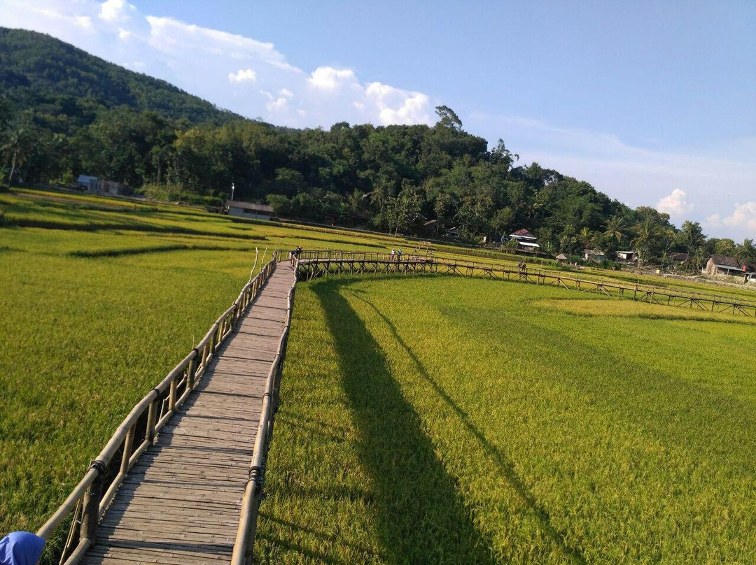 Jembatan Sawah Sukorame景点图片