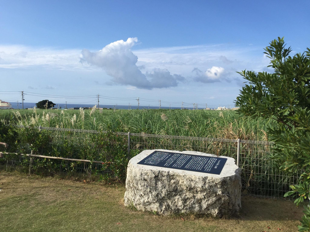 Satyokibi-batake Inscription on Monument景点图片