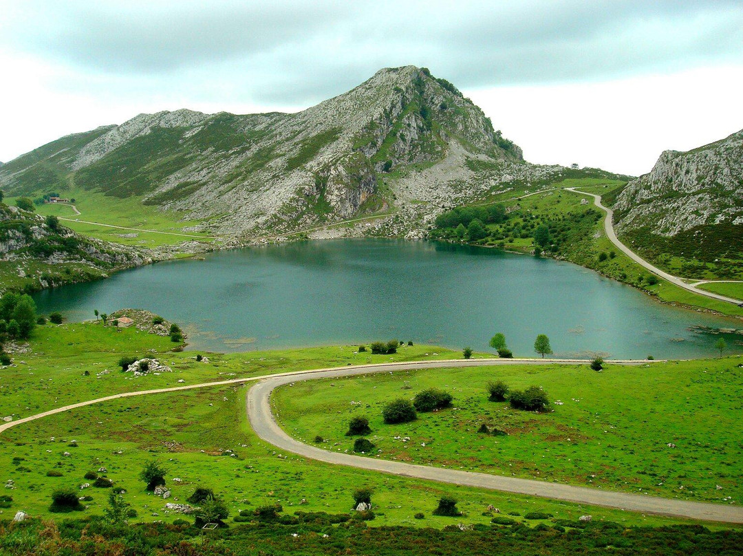 null-Cangas de Onis