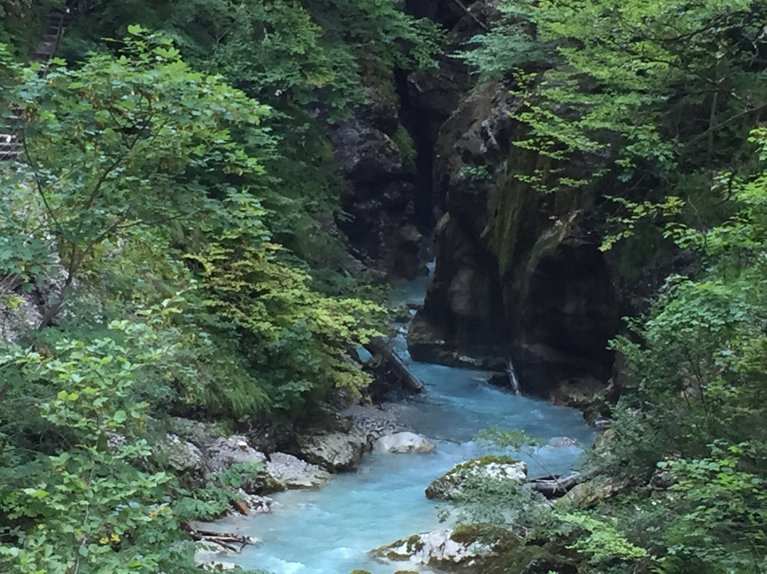 Ferlach旅游攻略图片