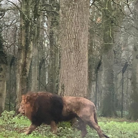 Longleat Estate-Murchison必去景点