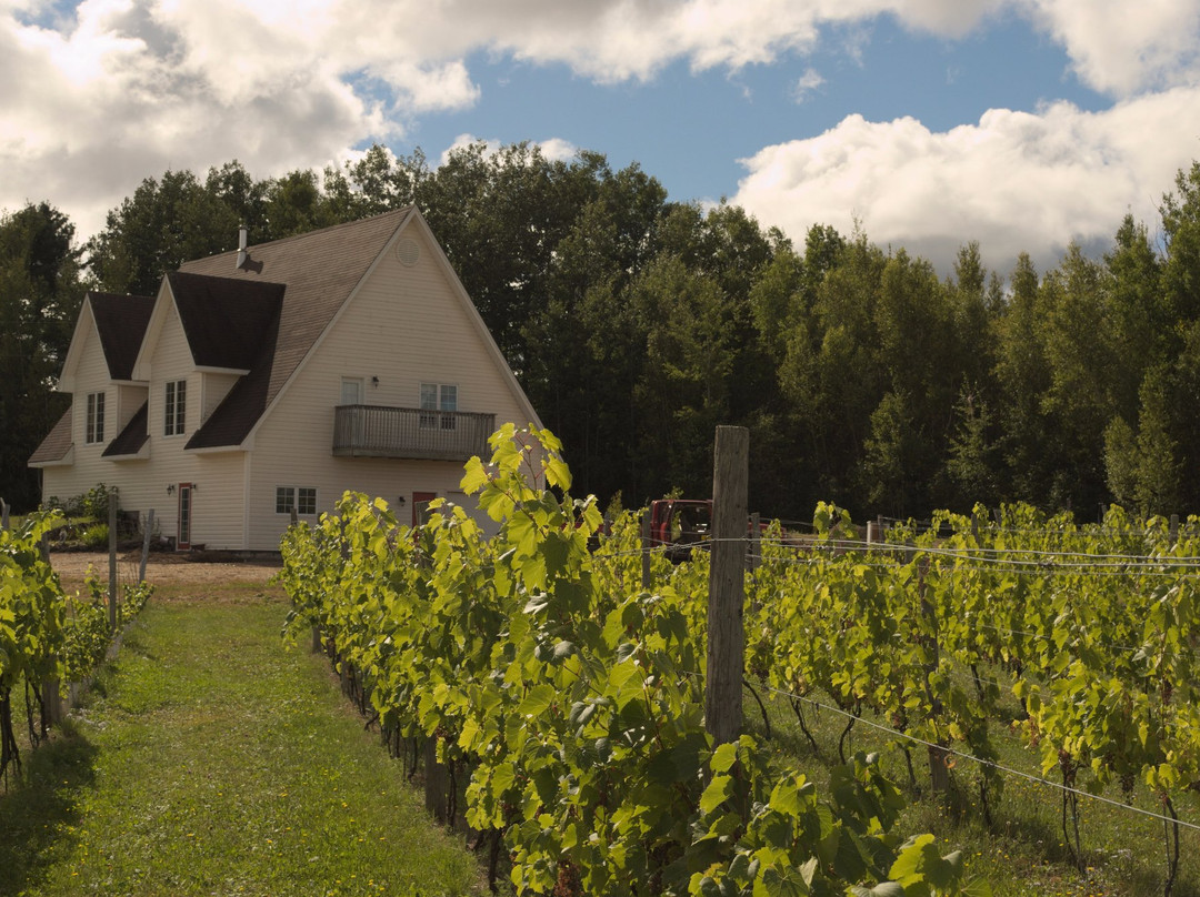 Domaine Latitude 46 Estate Winery景点图片