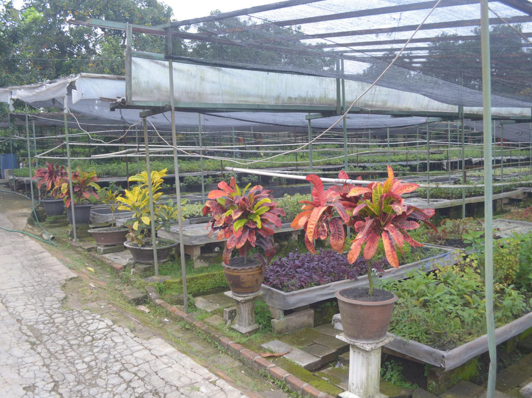 Godong Ijo-Depok必去景点