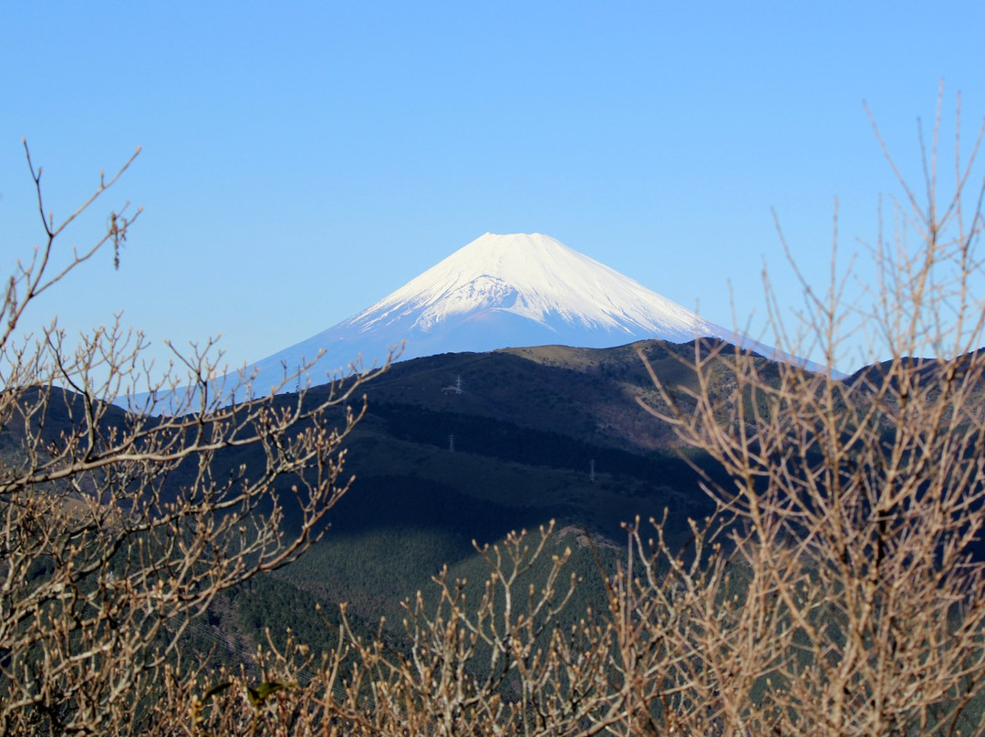 Mt. Iwato景点图片