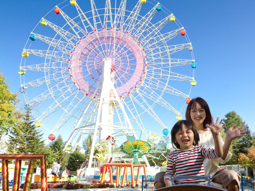 Karuizawa Toy Kingdom景点图片