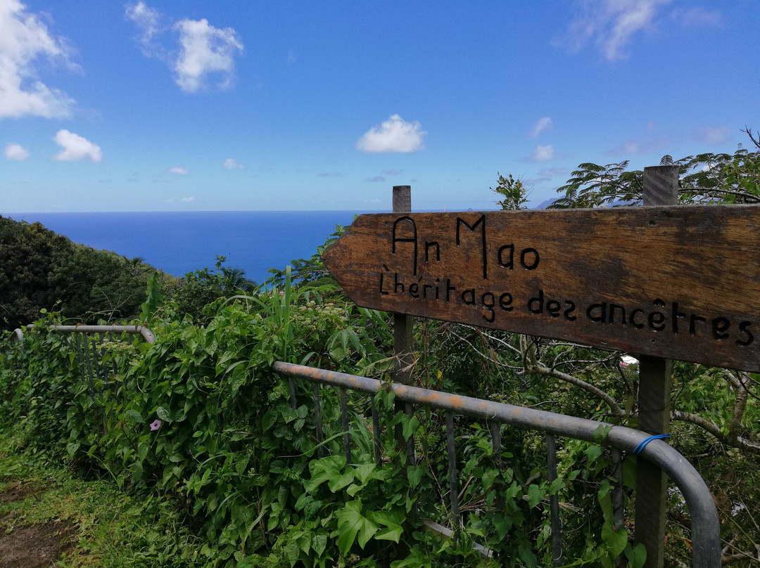 An Mao Jardin Paysager & Historique